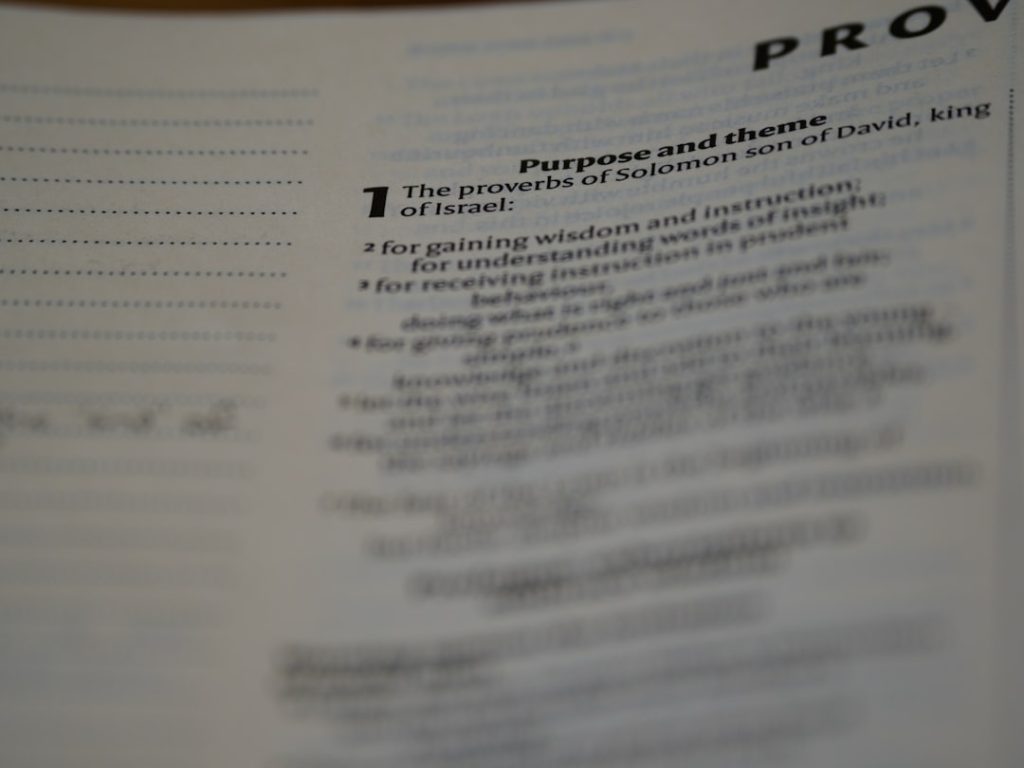 Wie eine Prämisse unser Denken und Handeln lenkt